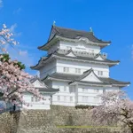 【衝撃】神奈川県『小田原市』について知ってることwwwwwwwwww