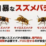 【悲報】絶滅したらみんなが喜ぶ生き物wwwwwwwwww
