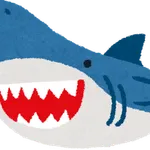 サメについて知っていること