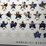 【悲報】DeNA山﨑康晃さん、250セーブまであと4つ！