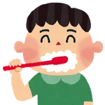 お前らって歯磨き何日に1回してる?