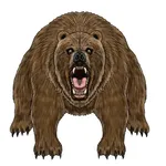 韓国「日本よ、韓国では熊が絶滅しそうなんだ、熊が捕れたら熊の胆を送ってくれないか？」