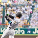阪神のショート争い、いくらなんでも低レベル過ぎてしまう
