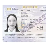 【悲報】日本人さん「海外旅行したくない」←過半数超えるｗｗｗｗｗｗｗｗｗｗ