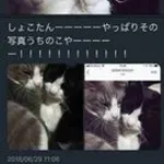 【悲報】中川翔子さん、小学校火災の女性教師に「どう責任取るつもりなんだろう？」・・・・・・・・・