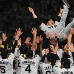 阪神ファン『連覇できなくても隔年で優勝してくれるんならもうそれでいい』