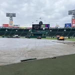 甲子園の阪神-広島戦が雨天中止