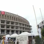 明日の先発はホークスが大の苦手な小島だが果たして…