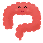腸の不調
