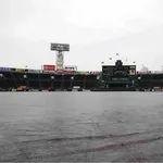 【阪神】今季12度目の雨天中止　直近２週間で５度目の異例の高頻度　天候回復も見込めず