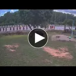 【戦慄】タイで11歳少年さんのトラックが巡礼中の僧侶の列を轢き9人死亡・・・・・・・・・