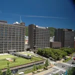 【悲報】兵庫県さん、493億円一括返済と20年歳出2割削減へ・・・・・・・・・