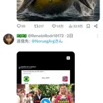 ブラジル🇧🇷さん、今度はノルウェー🇳🇴とレスバ開始wwwwwwwwwwwww