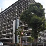 【悲報】はま寿司洗剤男（43）、また迷惑行為で逮捕されるｗｗｗｗｗｗｗｗｗｗ