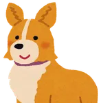 コーギー可愛すぎません？🐶