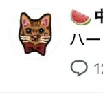 【悲報】中川翔子さん(41)「ハーランドさんが凄いんだね、、!」