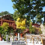【悲報】Z世代の修行僧さん、修行に耐えきれず寺に放火ｗｗｗｗｗｗｗｗｗｗ