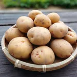 「じゃがいも」の最も美味しい食べ方、決まる