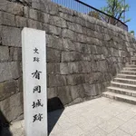荒木村重が妻子を捨てて逃亡した理由って死んだら趣味のお茶ができなくなるからなん？