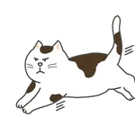 犬派? 猫派?