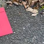 【悲報】台湾さん「道端に落ちている赤い封筒は絶対に拾わないで下さい」・・・・・・・・・