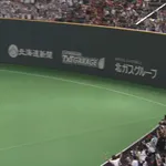 サヨナラタイムリーで打球抜けて外野手が追うの諦めるシーンってさ