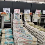 【朗報】米価さん、限界突破してしまうｗｗｗｗｗｗｗｗｗｗ