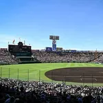 【悲報】野球人口、相変わらず減り続けてる
