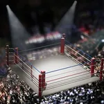 【悲報】JKでもギリギリ知ってそうなプロレスラーｗｗｗｗｗｗｗｗｗｗ