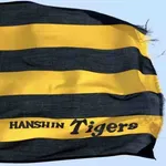 【阪神】四国IL高知・ガルシアを獲得へ マイナー通算132本塁打の長距離砲と大筋合意 今季は打率3割1厘、18本塁打、43打点