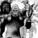 【悲報】ゴリラさん、顔SSS体格SパワーSスピードSやさしさSなのに天下を取れないwwwwwwwwww