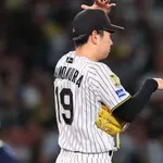 阪神ファン、今日の敗因ってなんなんだ