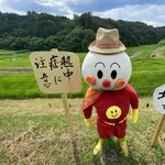 【悲報】新入社員さん「案山子」が読めないｗｗｗｗｗｗｗｗｗｗ