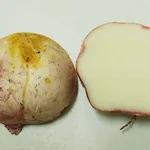 【悲報】彡(^)(^)「庭にきのこ生えとるやん！きのこごはんにして食ったろ！」→彡()()・・・・・・・・・