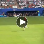 【悲報】W杯ノルウェーFWセルロートさん「なぜハーランドにパスしなかった!」インスタ炎上・・・・・・・・・