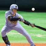 阪神ファン『2番中野にバントさせるのは愚かです。その理由がこれ』←かなりセンスがいい