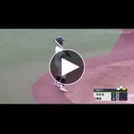 【動画】9回裏1点差ツーアウト一塁、3年キャプテンの最終打席←これの捌き方で漫画家の力量が判るよなwwwwwwwwww