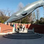 【衝撃】最近知ったんやが、シロナガスクジラがガチで史上最大の生物なんやってｗｗｗｗｗｗｗｗｗｗ