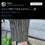 【画像】ワンピースカード付きで売られた ジャンプ、とんでもない姿で見つかってしまう⋯