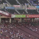 【悲報】今日のマツダスタジアムwwwwwwwwwwwwwwww