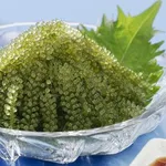 【悲報】沖縄でいちばん美味しいのは海ぶどう?wwwwwwwwww