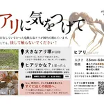 【爆笑】10年前の有識者さん「ヒアリはヤバイ、日本が終わる」←これｗｗｗｗｗｗｗｗｗｗ