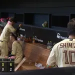 【悲報】日ハム、対SB2勝12敗で今季5カード全てで負け越し