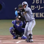 森下翔太(神)、21死球ペース (1シーズン20死球超えたら2018年の中村奨吾以来8年ぶり)