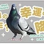 【朗報】西武の「幸運の鳩」、ついに公式グッズ化！