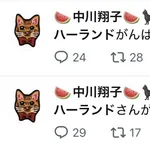 中川翔子(41)「ハーランドさんが凄いんだね…!」「ハーランド様いた♡」「ハーランドがんばれ!」→敗退後1mmもハーランドに触れない