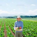 【歓喜】お前らが農家になったら作ってみたいものwwwwwwwwww