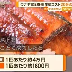 【朗報】うなぎさん、記録的豊漁で仕入れ値3割減ｗｗｗｗｗｗｗｗｗｗ