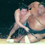 舞の海秀平 385勝418敗27休 勝率.479←言うほどすごいか?