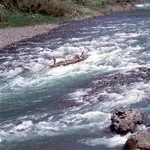【疑問】川に流されて死ぬやつが謎すぎる件・・・・・・・・・
